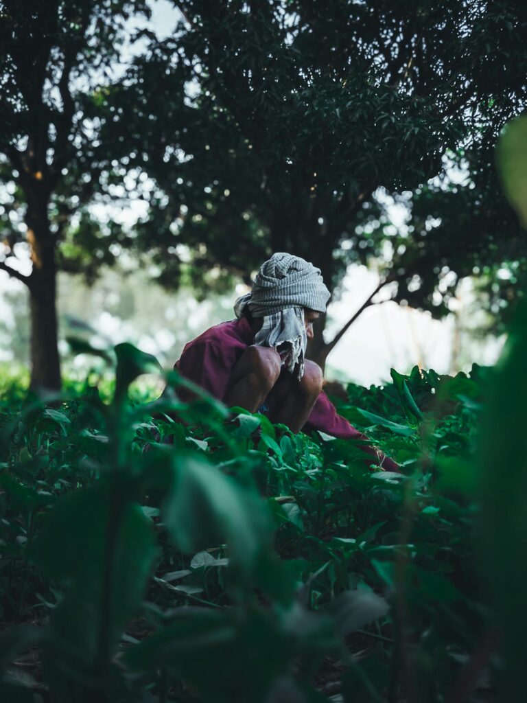 pexels-learnersoumya-32103978