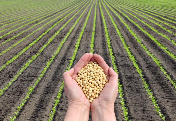 satva_ahar_about_top